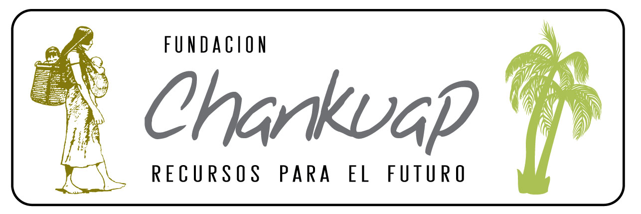 Institucional
